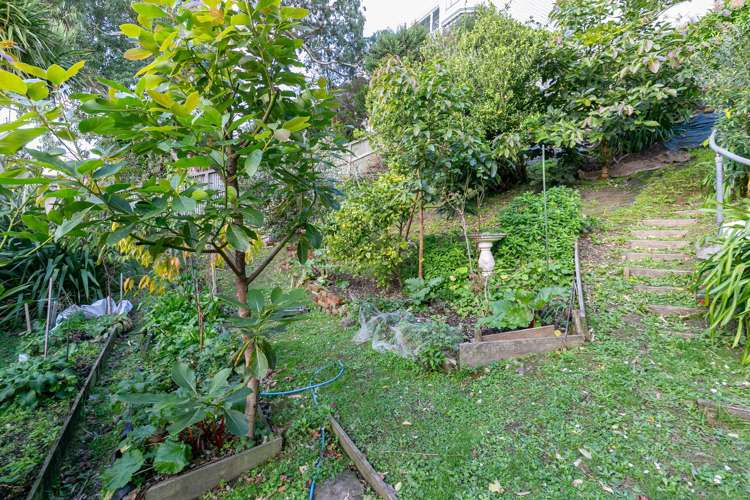 3B/20 Maarama Crescent Aro Valley_10