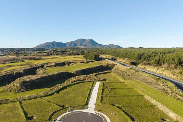 60 Wharariki Rise Wharewaka_3
