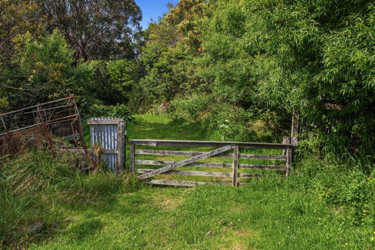 93 Loop Road Ohiwa_6