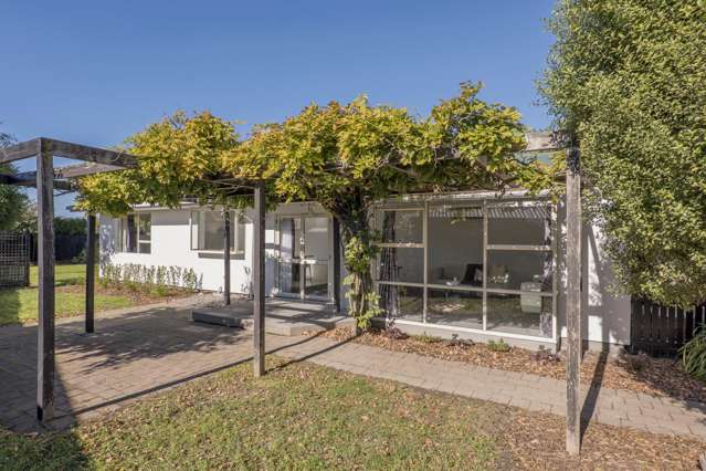 Super sunny family sanctuary