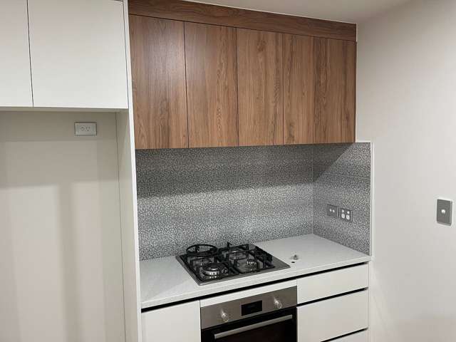 295C Porchester Road Takanini_1