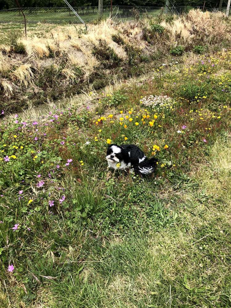 2228 South Eyre Road West Eyreton_4