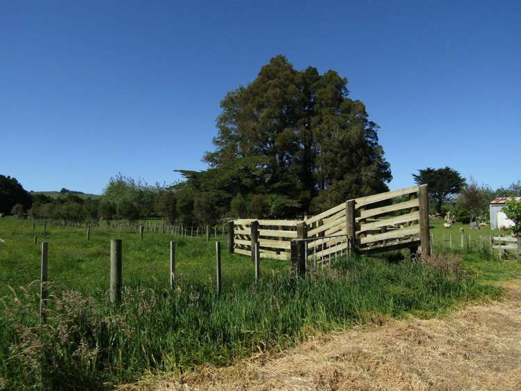 554b Te Pua Road Kaikohe_14