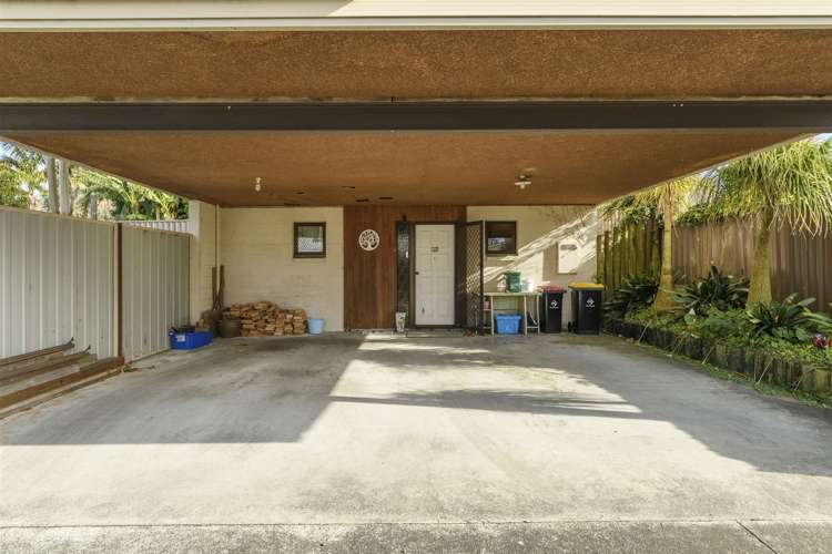 30b Esk Street Parkvale_4