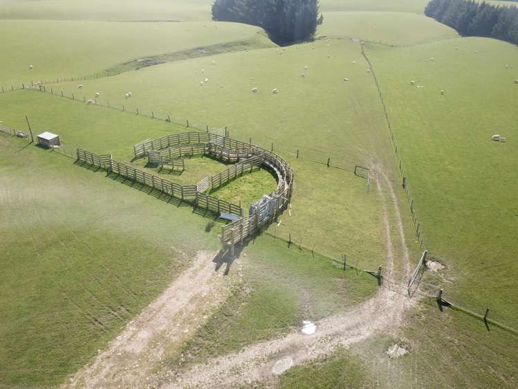 20 Carruthers Road Pomahaka_1