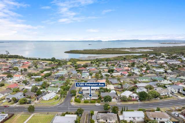 1/181 Finlayson Avenue Clendon Park_4