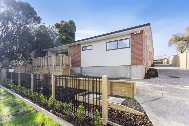 41A Kingdale Road 11401_14