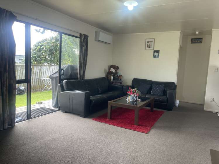 69B Cameron Road Te Puke_1