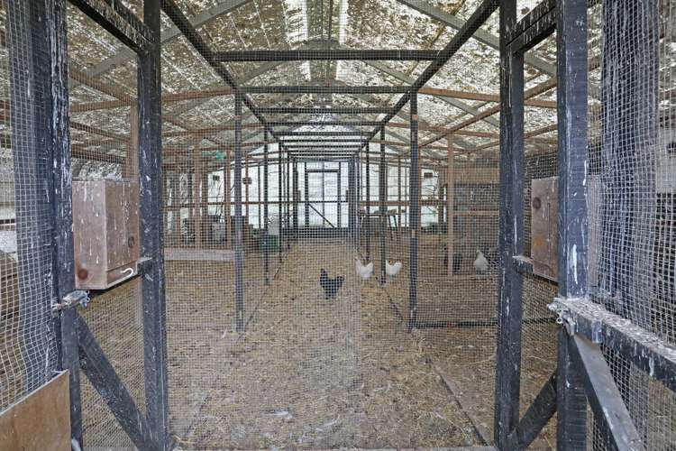 76 Wings Line Marton_24