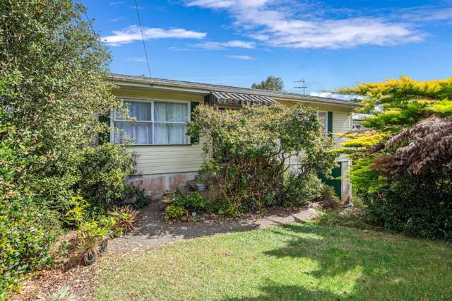 59 & 2/59 Webster Avenue Mt Roskill_2