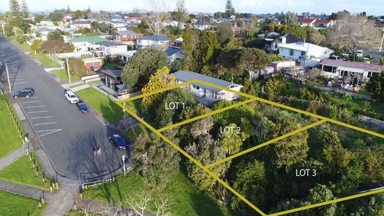 14 Chapman Road Te Atatu Peninsula_14