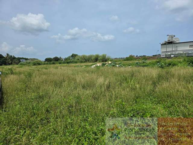 Prime Freehold Land Opportunity in Martintar – 4 Acres with Endless Potential!