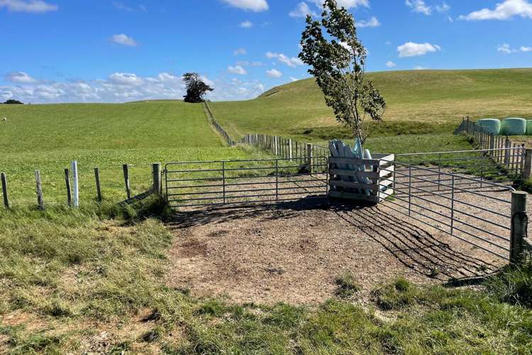 1397 Makino Road Halcombe_18