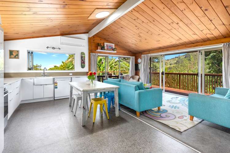 38 Scott Road Tamaterau_4