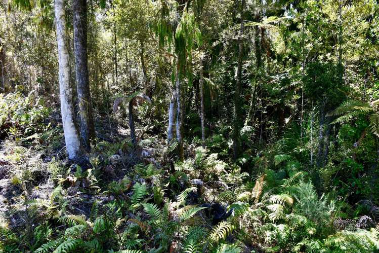 Lot 8 Sunset Heights Road Karamea_11