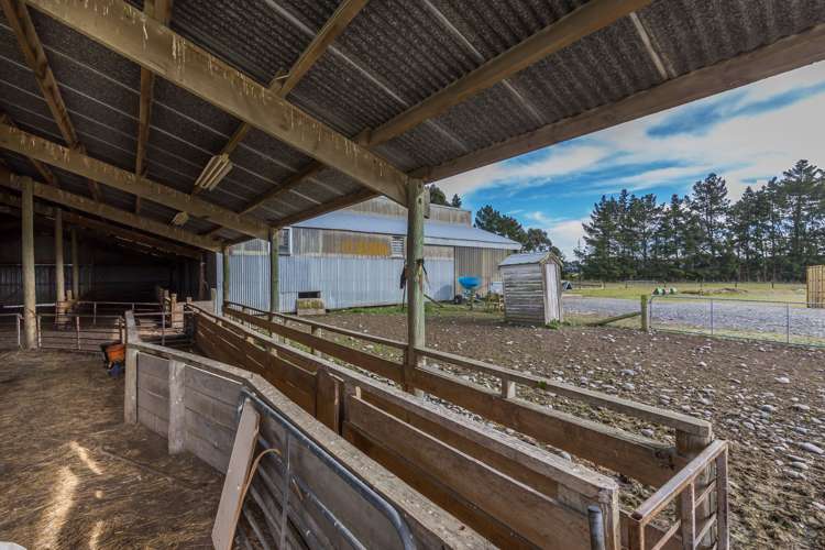 262 Chattertons Road McLeans Island_22