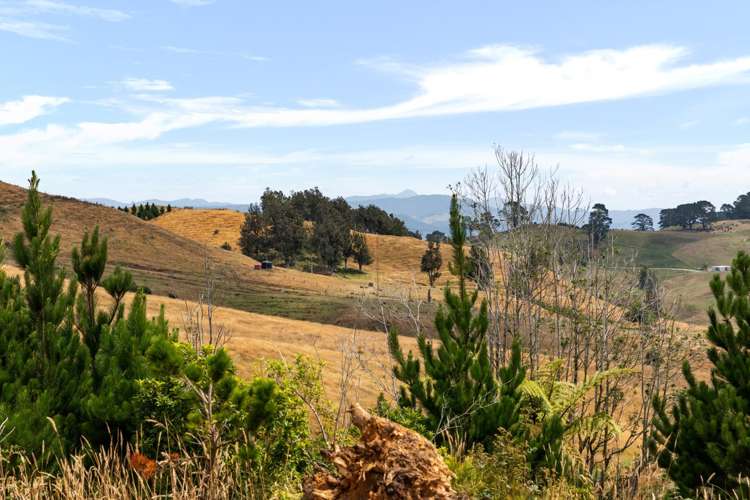 166c Heard Road Waihi_9