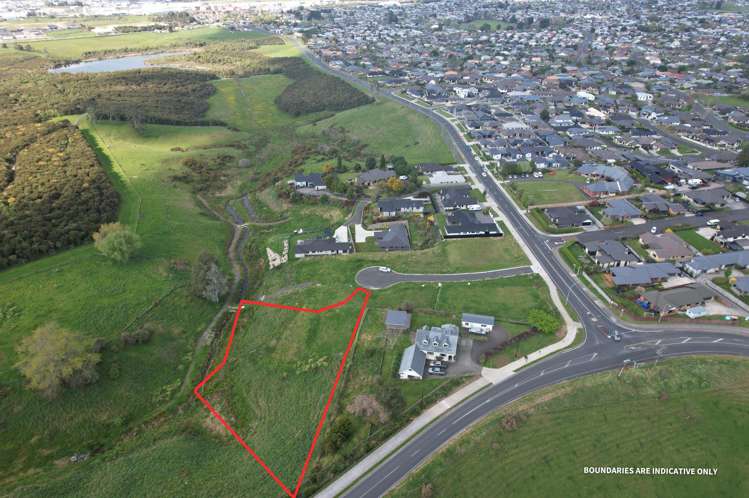 7 Pukatea Lane Grandview Heights_2