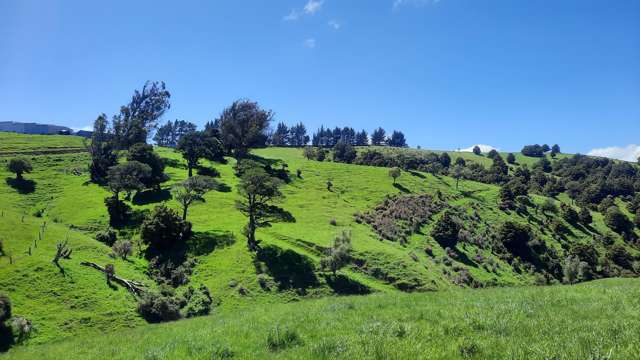 183 Gunn Road Waitepeka_2