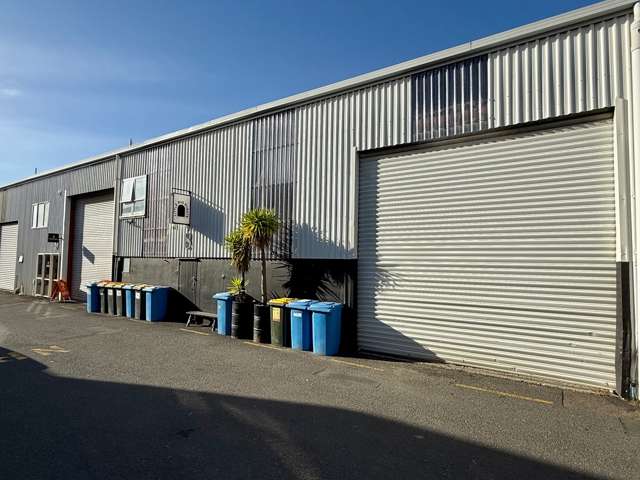 Newton Street unit in the Mount