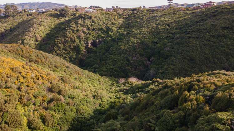 17 Belize Grove Grenada Village_22