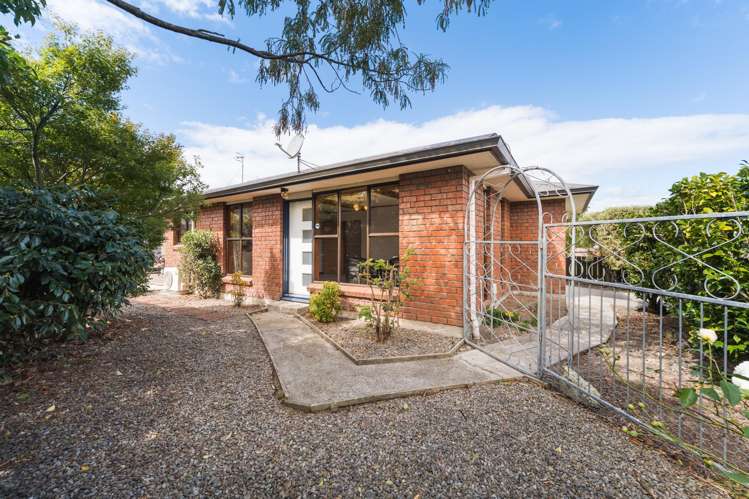 3A Marne Street Hokowhitu_11