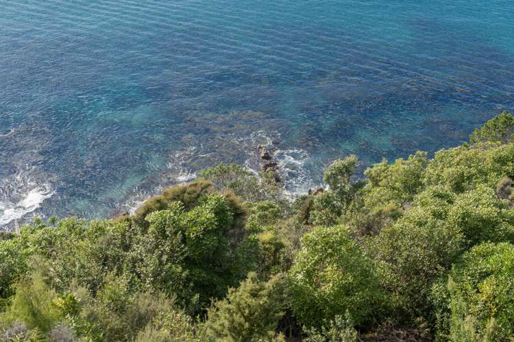 217 Paku Drive Tairua_13