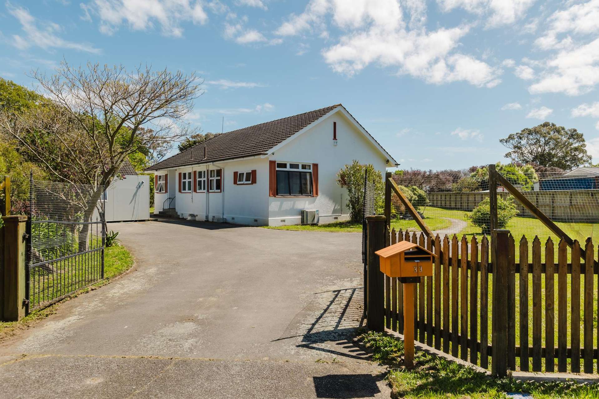 33 Daniell Street Bulls_0