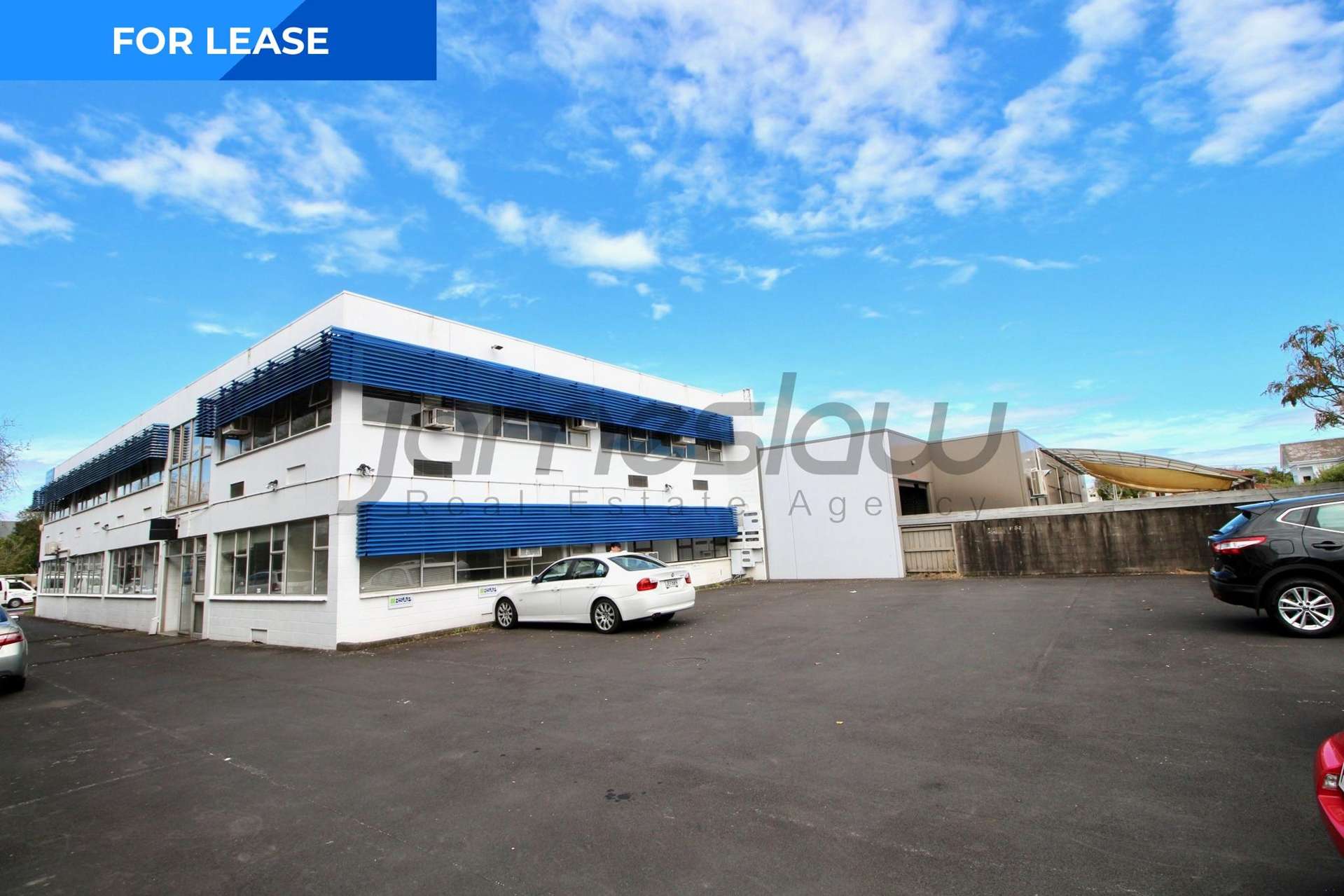 123 Manukau Road Epsom_0