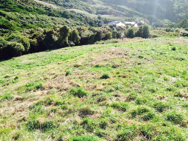 118 Downing Street Crofton Downs_1