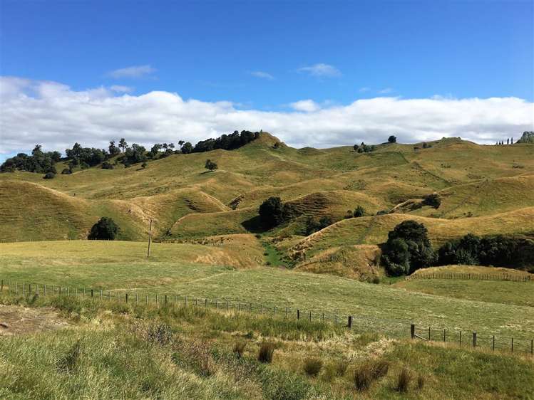 97 Hibberds Road Taihape and Surrounds_13