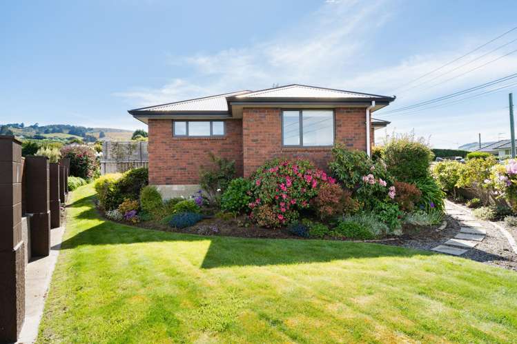 13 Campbells Road Pine Hill_15