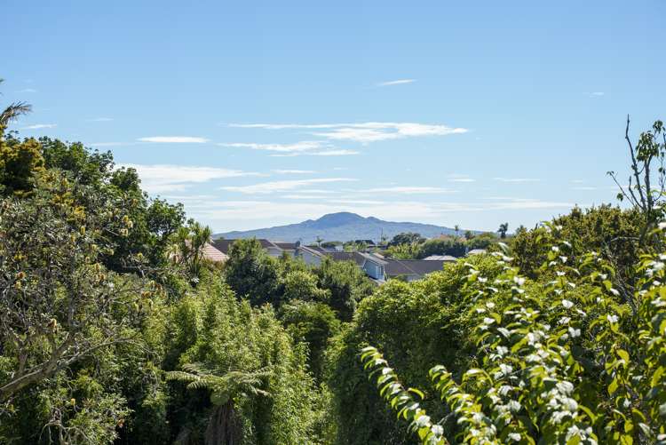 60a Codrington Crescent Mission Bay_10