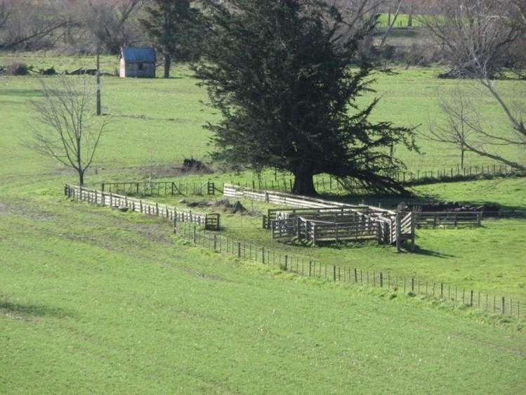 171 Hinakura Road Martinborough_11