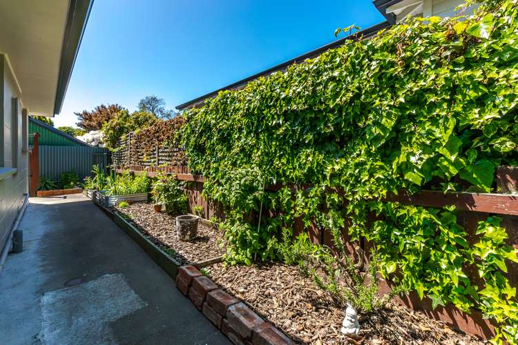 1/71 Elizabeth Street Seaview_16