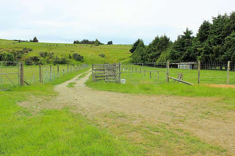 105 Lynwood Road Hillside_20