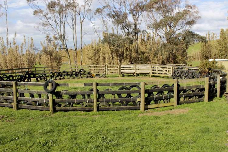 187 Katavich Road Awanui_10