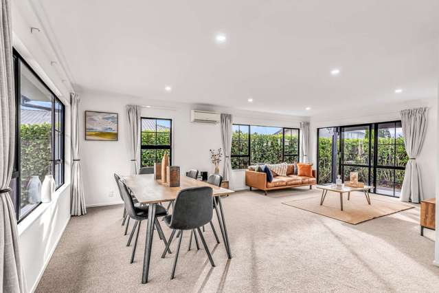 101 South Town Belt Rakaia_4