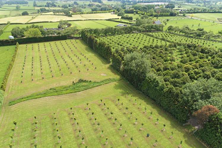 26 Ernest George Drive Karaka_17