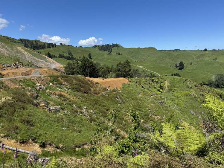 Lot 2 Brown Road Kawhia_13