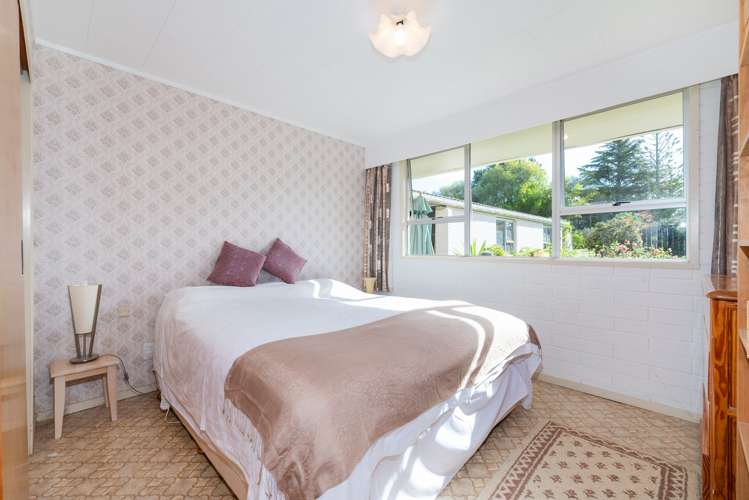 87 Kahikatea Flat Road Dairy Flat_10