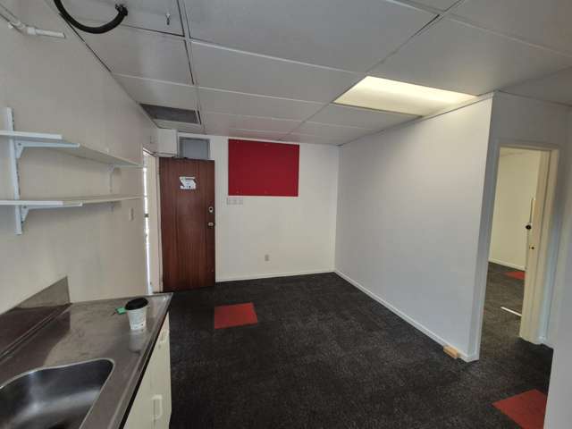 123 Manukau Road Epsom_4