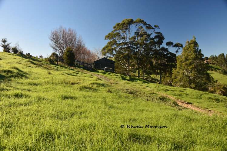 330 Franklin Road Paparoa_57