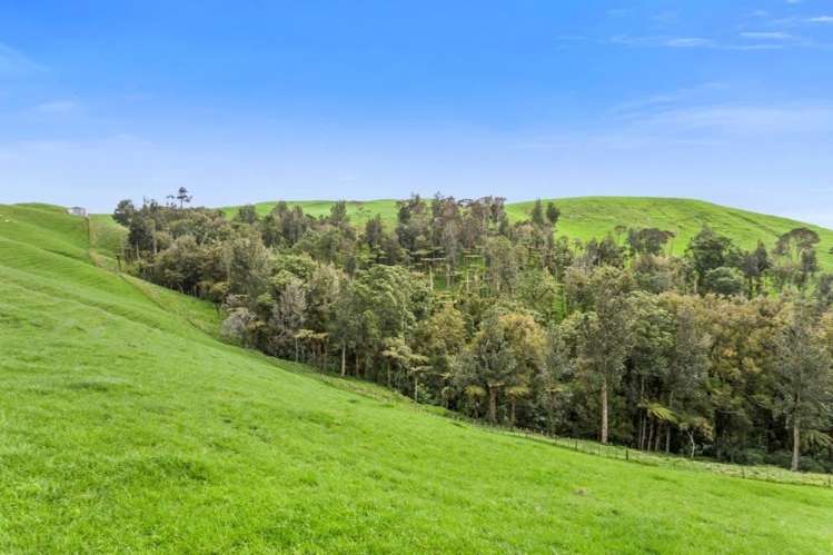 500 Tahuroa Road Tauwhare_7