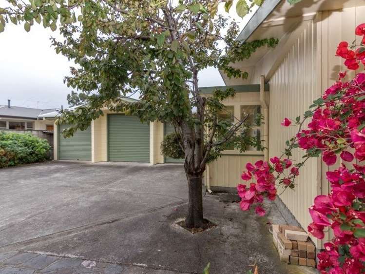 30 Napier Road Terrace End_19