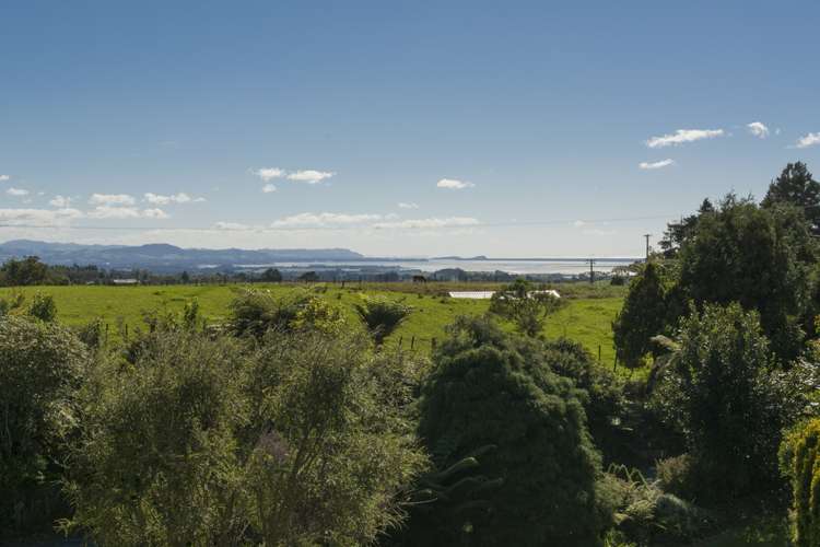 97 Ross Road Whakamarama_13