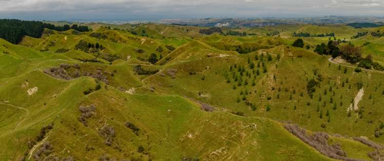 240 Agnews Road Hunterville_10