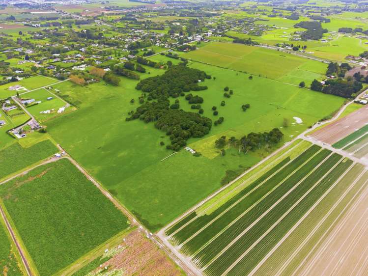 81 Muhunoa West Road Ohau_5