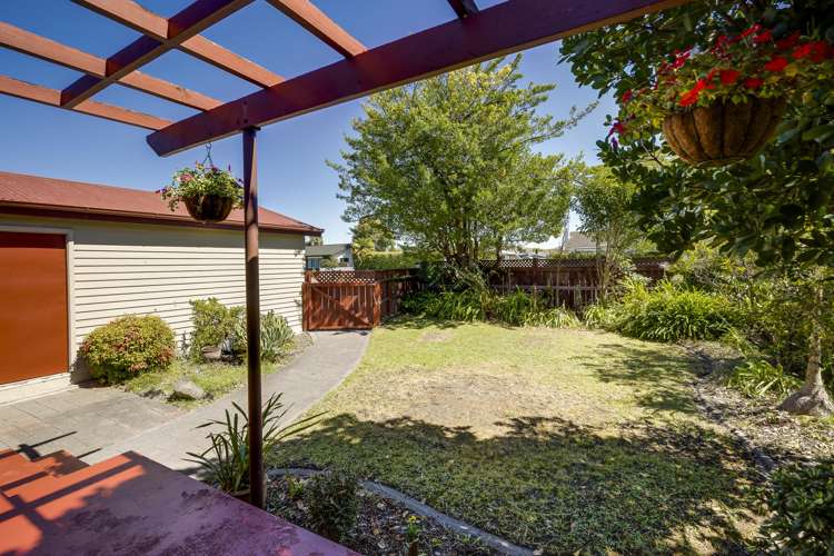 176 Guppy Road Taradale_7