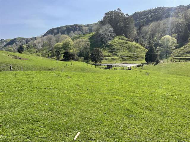 00 Waitomo Valley Road Otorohanga_4